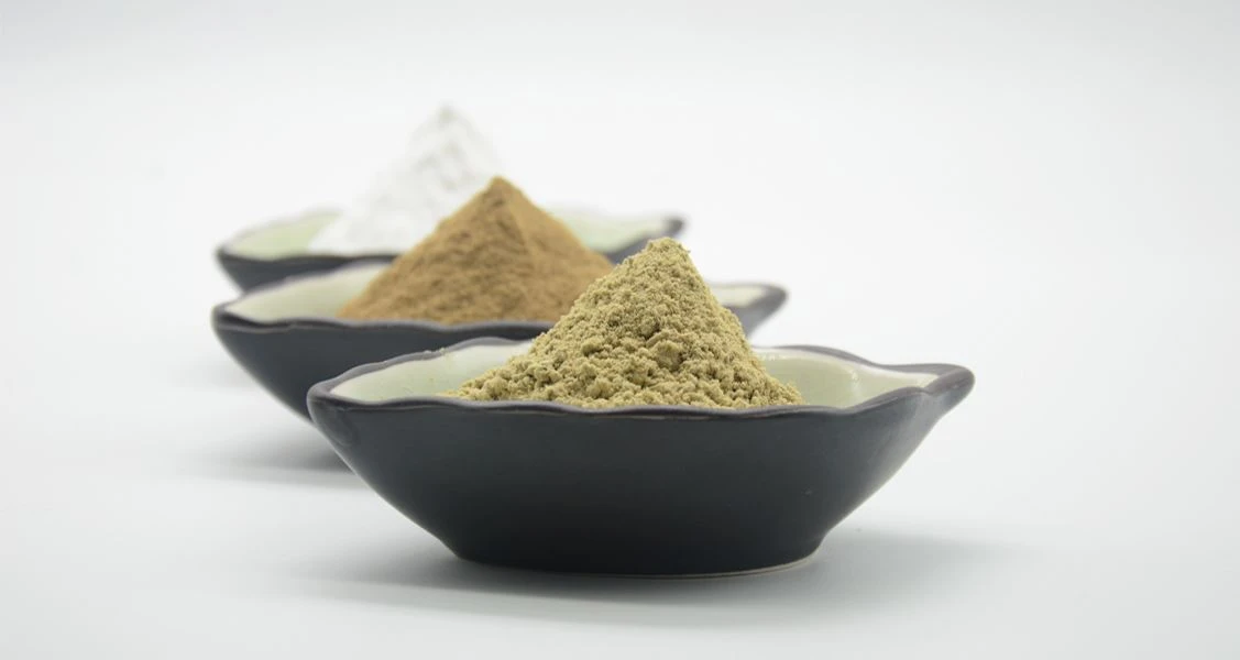 bai zhi extract powder show by Botanical Cube Inc.