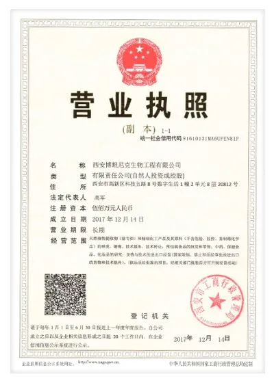 Business-License Business-License