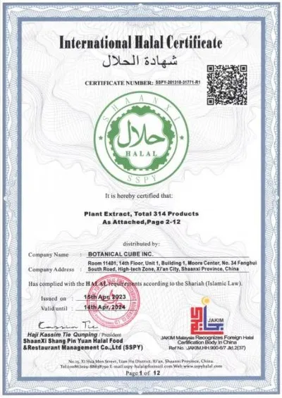 HALAL(2022) HALAL(2022)